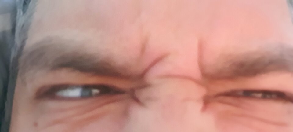 16620956457267940642342714178933.jpg - janzbiornikowy