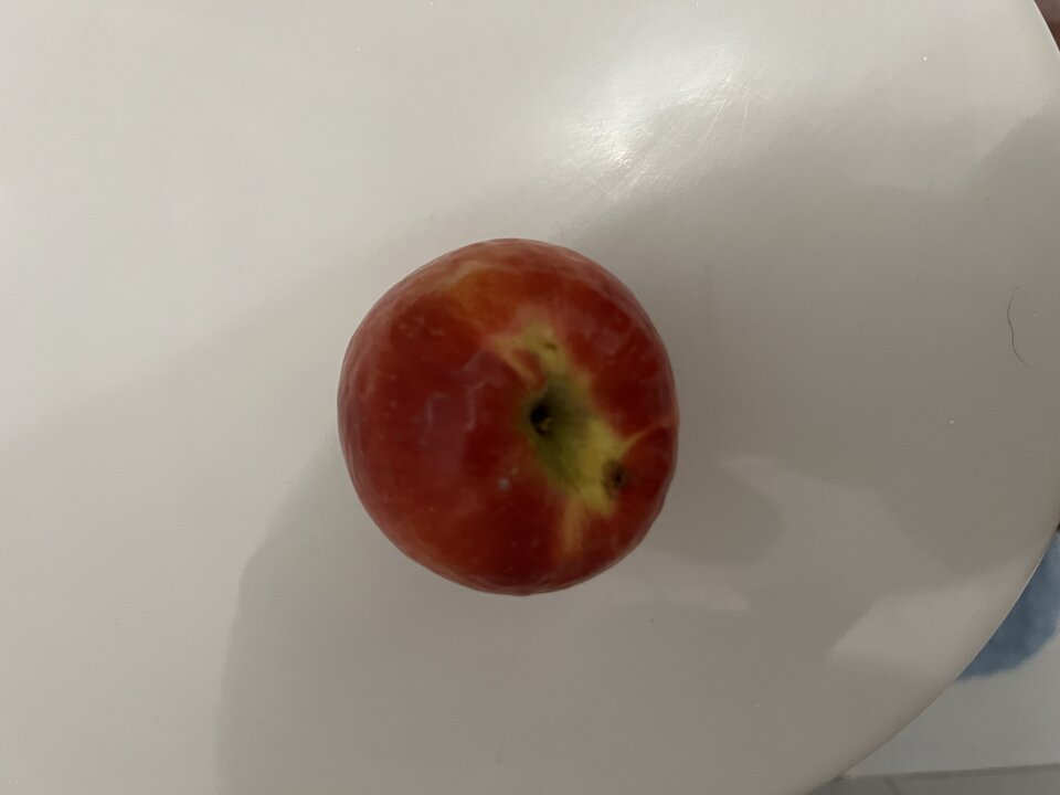 3EEBF115-98E0-4333-88BF-5C783C0CBF02.jpeg - 1miki