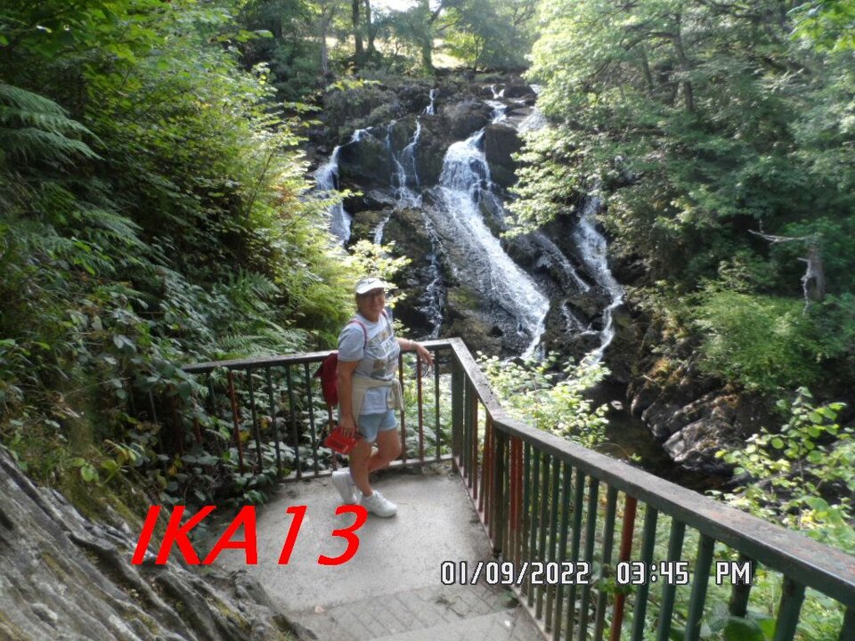 SAM_4210a.jpg - ika13