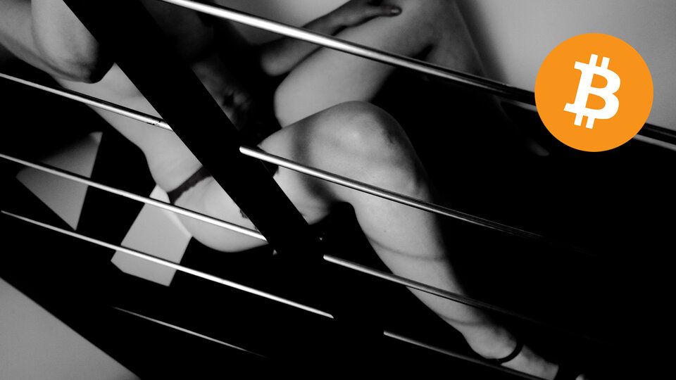 299232205_491104642472709_8818157387216152866_n.jpg - WyzwolonaAgatka