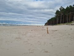 20220902_161434.jpg