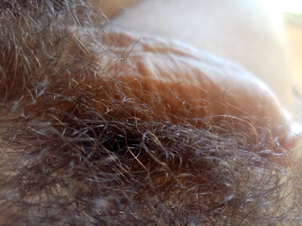 IMG_20220903_074504.jpg - skalmek