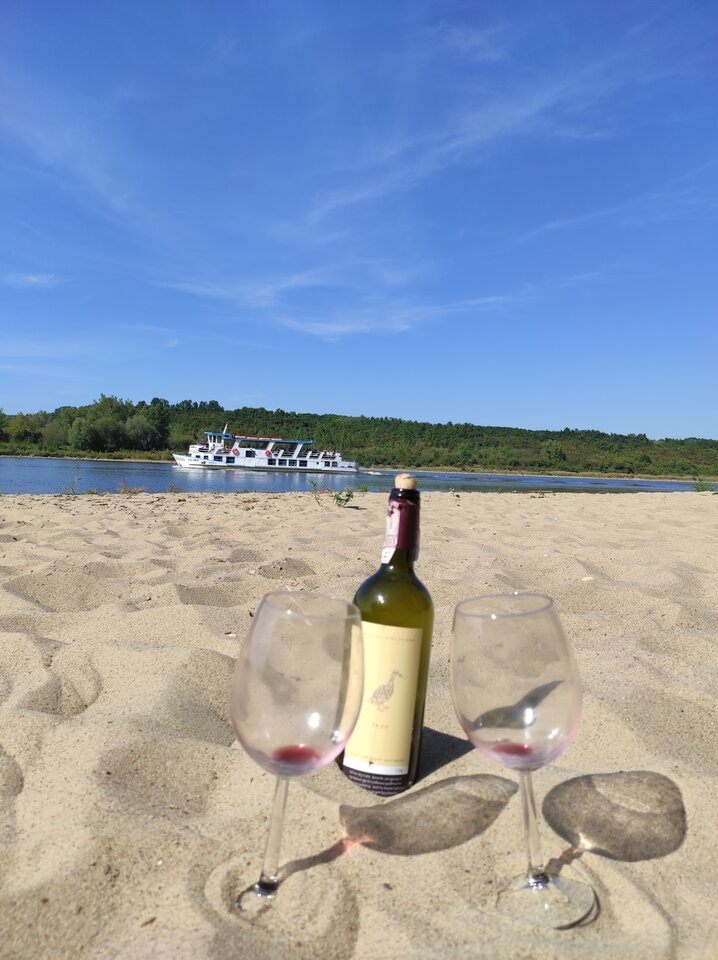 KD 22 - ParaKatharsis