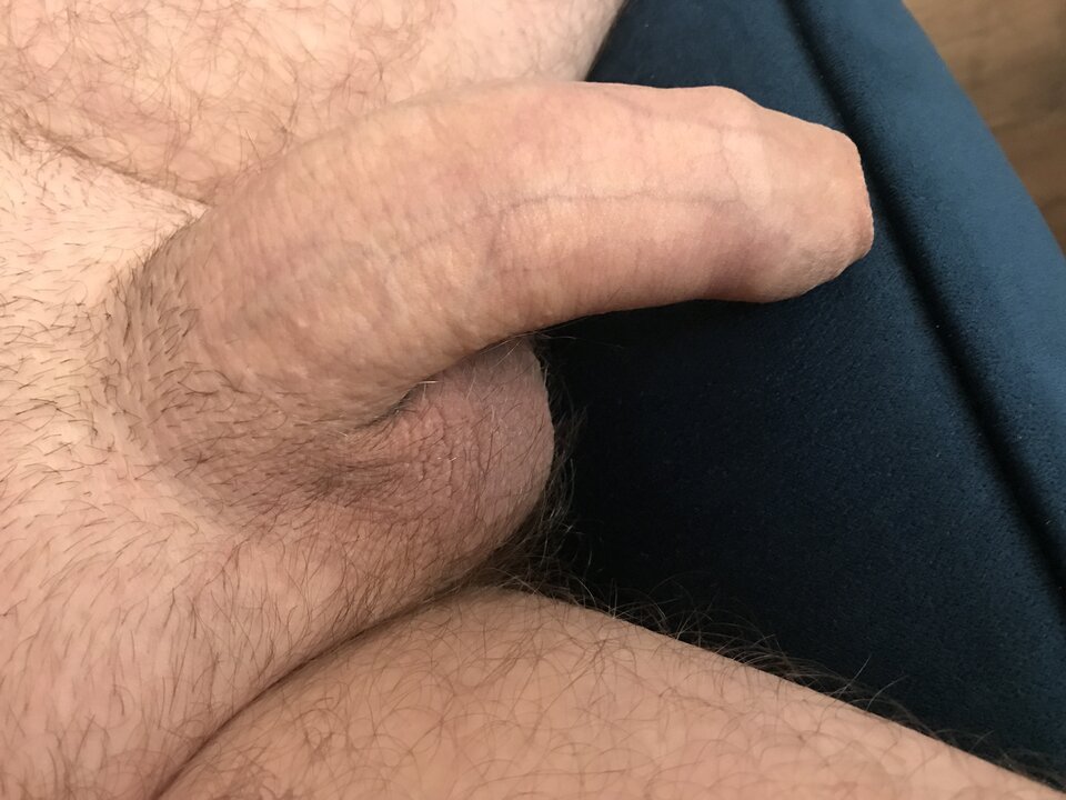 image.jpg - Tulipan1983