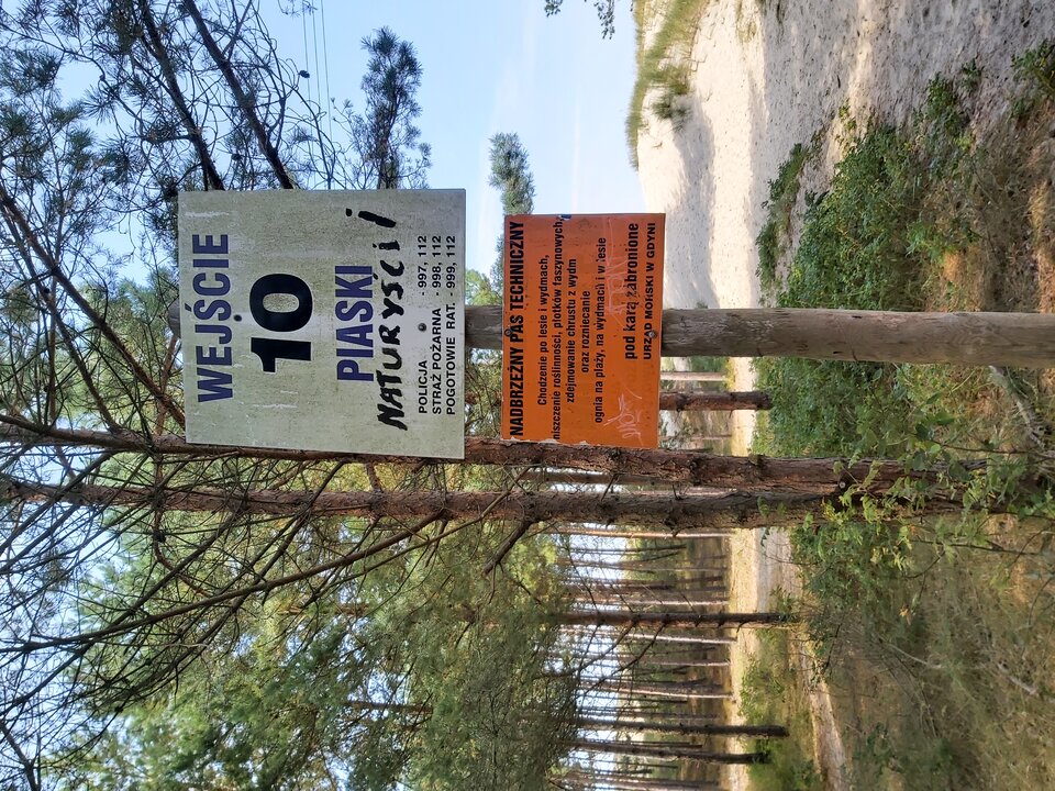 20220823_140201.jpg - andylula