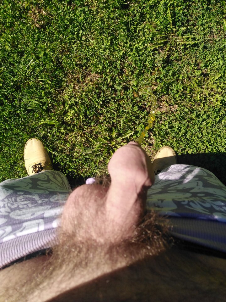 IMG_20220903_111228.jpg - pen110