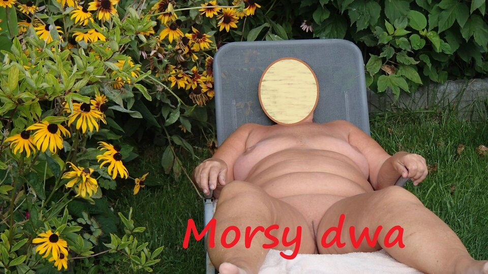 Łapie promyczki. - Morsy_dwa