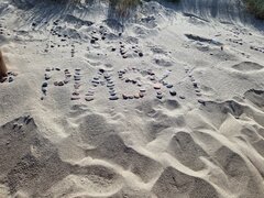 Pozostałości po lecie. ;)