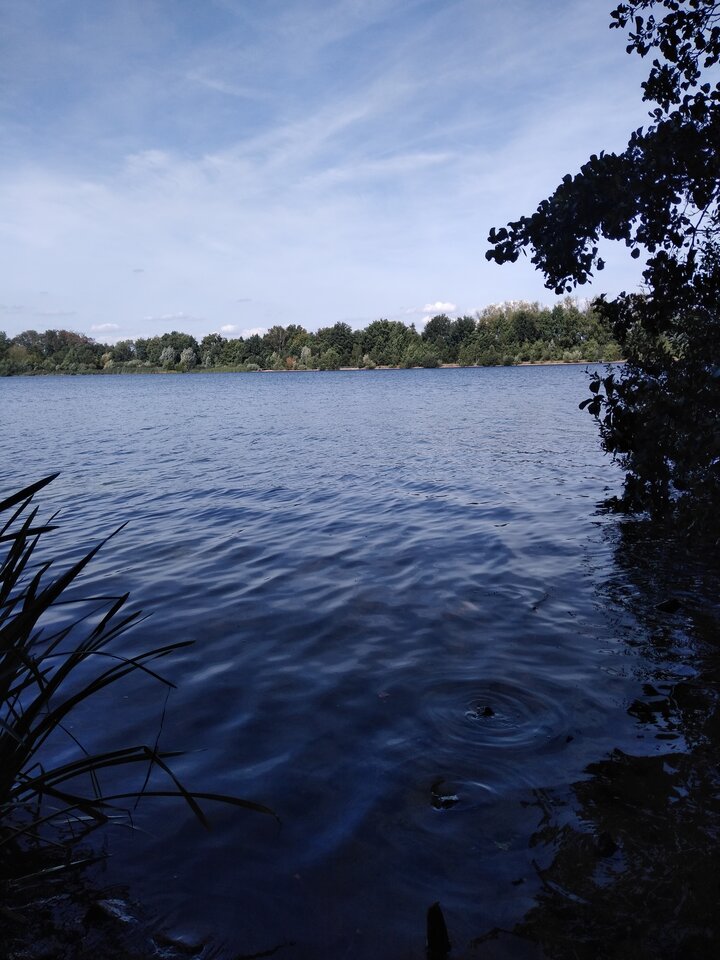 16622913138508387448278509826444.jpg - warszawaonbi