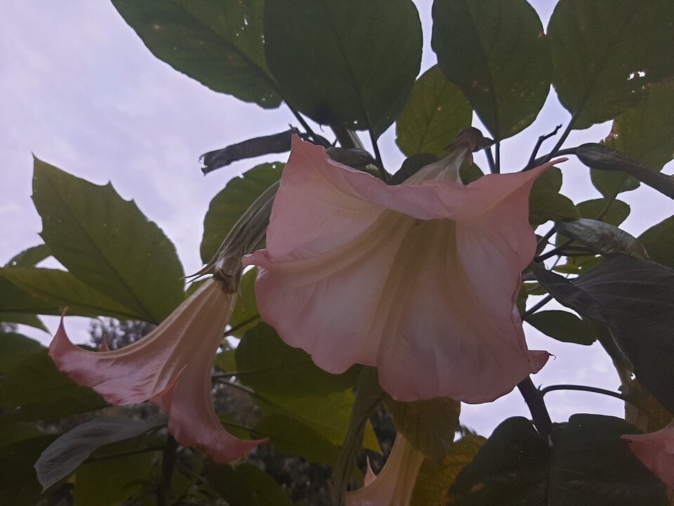 20220904_192233.jpg - Glodnisexu1