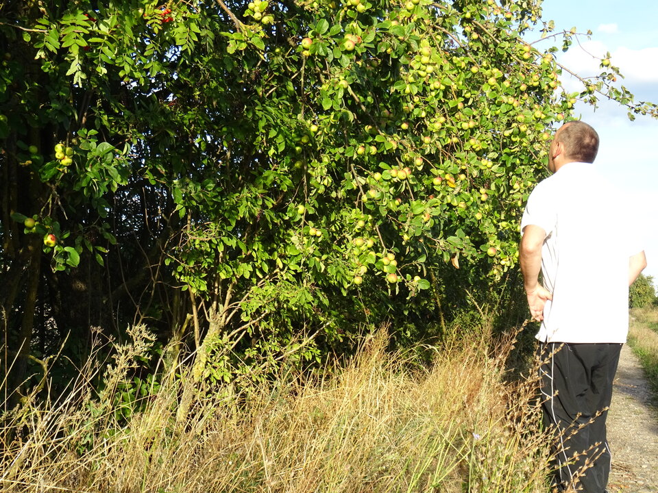 DSC00399.JPG - bojman8