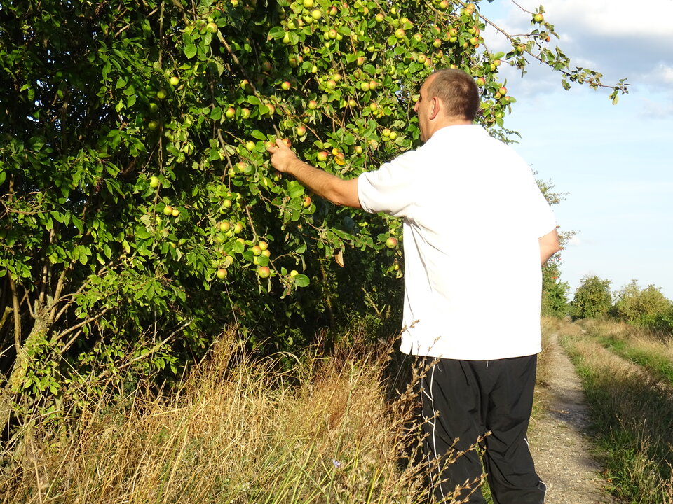 DSC00400.JPG - bojman8