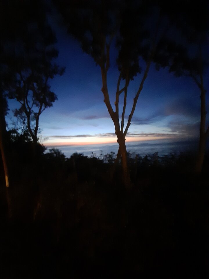 20220821_211404.jpg - XTOMx