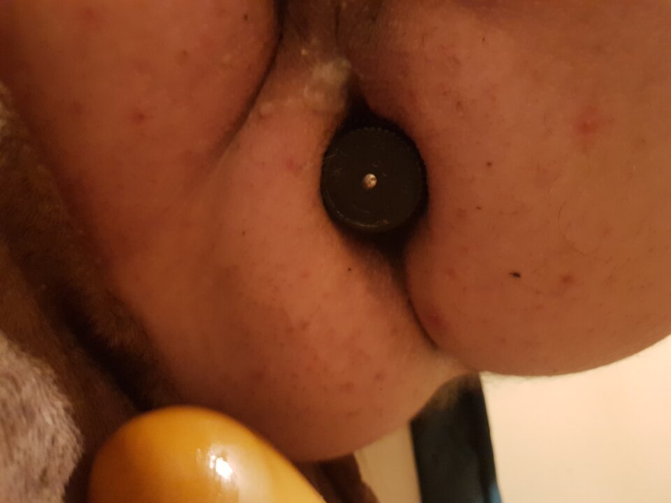 20220903_100546.jpg - Grubasek1970