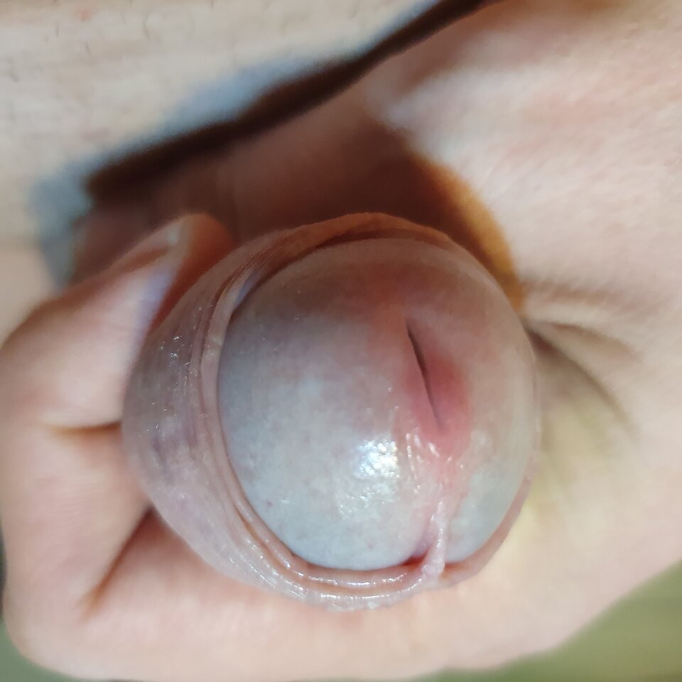 20220905_062955.jpg - Wysoki28