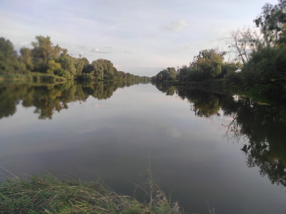 IMG_20220904_175835.jpg - Borsuczki1970