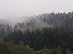 20220801_062523.jpg