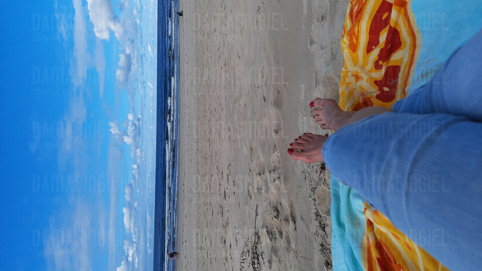 20220902_161753.jpg - DamaSingiel