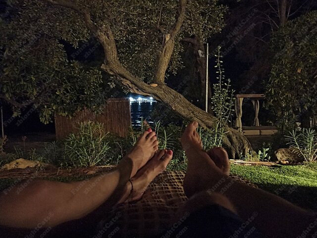 Funny_NightCats