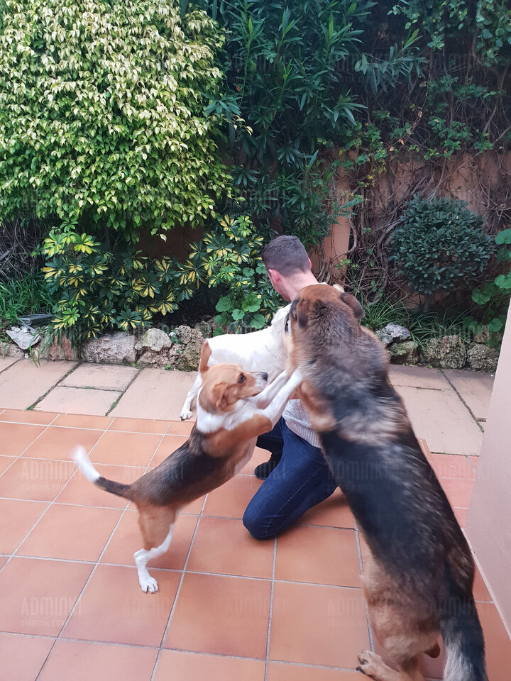 20190123_175206.jpg - Adminki