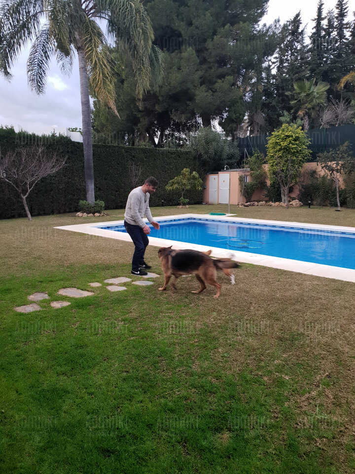 20190123_175336.jpg - Adminki