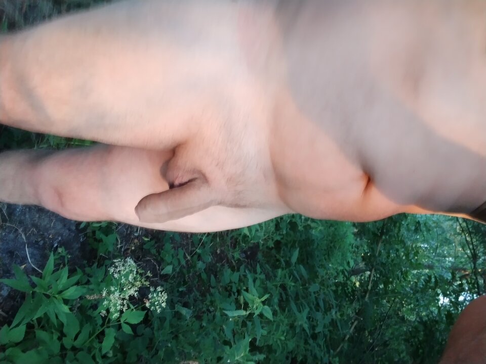 IMG_20220626_201310224.jpg - jan2121