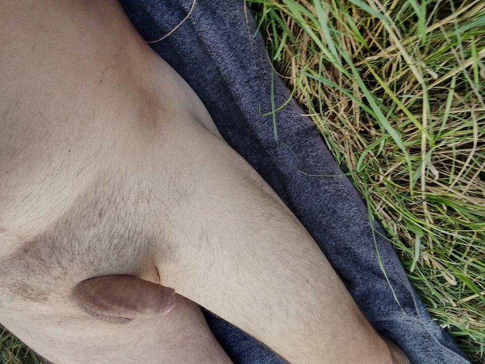 IMG_20220815_163701404_HDR.jpg - jan2121