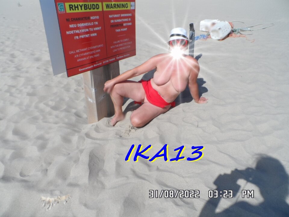 SAM_4208b.JPG - ika13