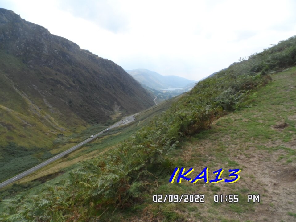 SAM_4215.JPG - ika13