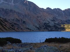IMG_20211031_102207.jpg