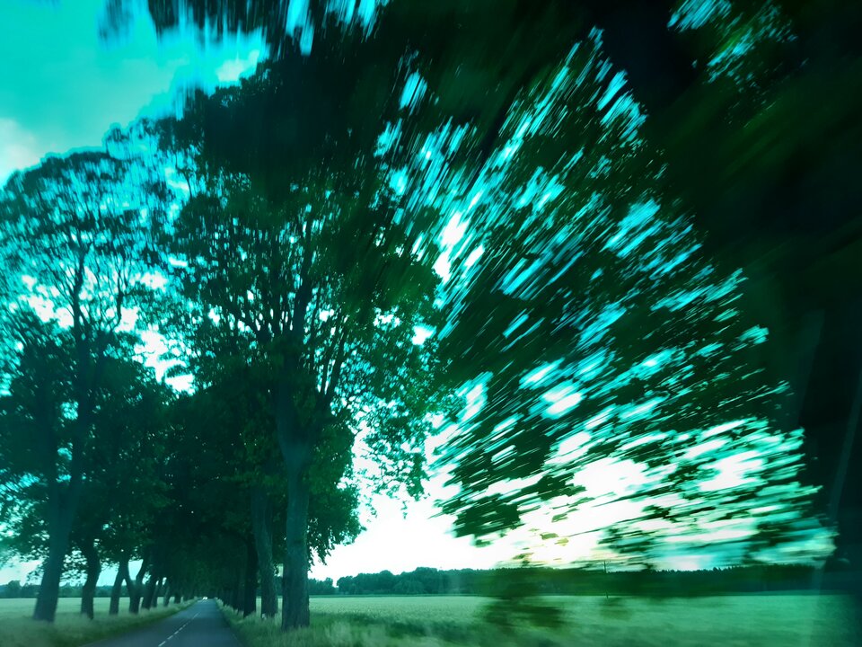 20220605_205041.jpg - torii99