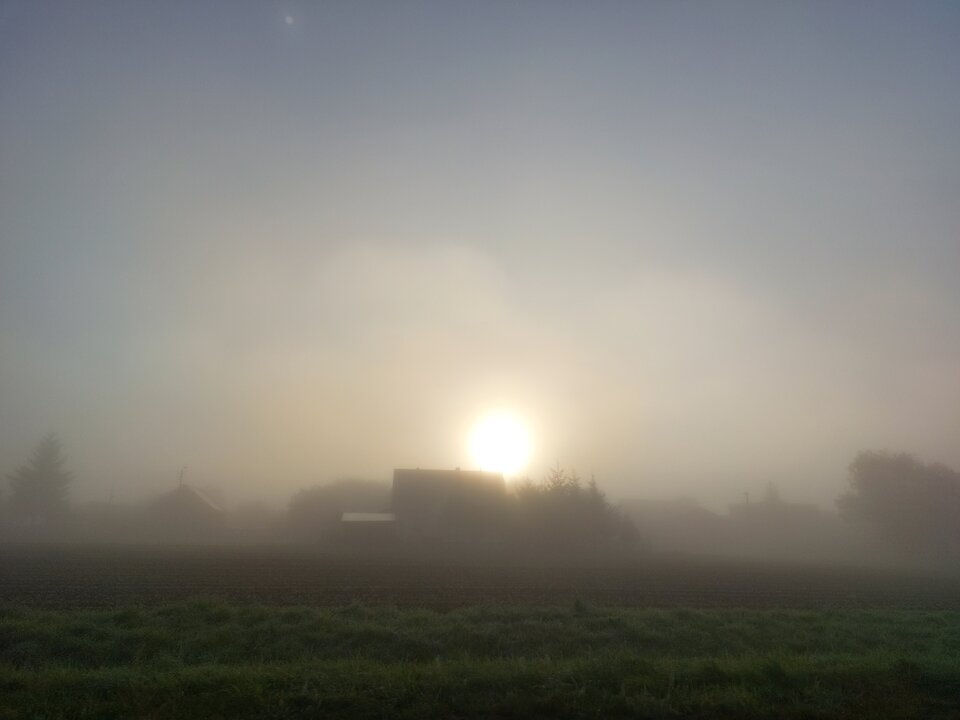 20220909_065926.jpg - Zaradny998