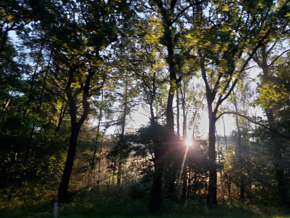 20220909_071715.jpg - Zaradny998