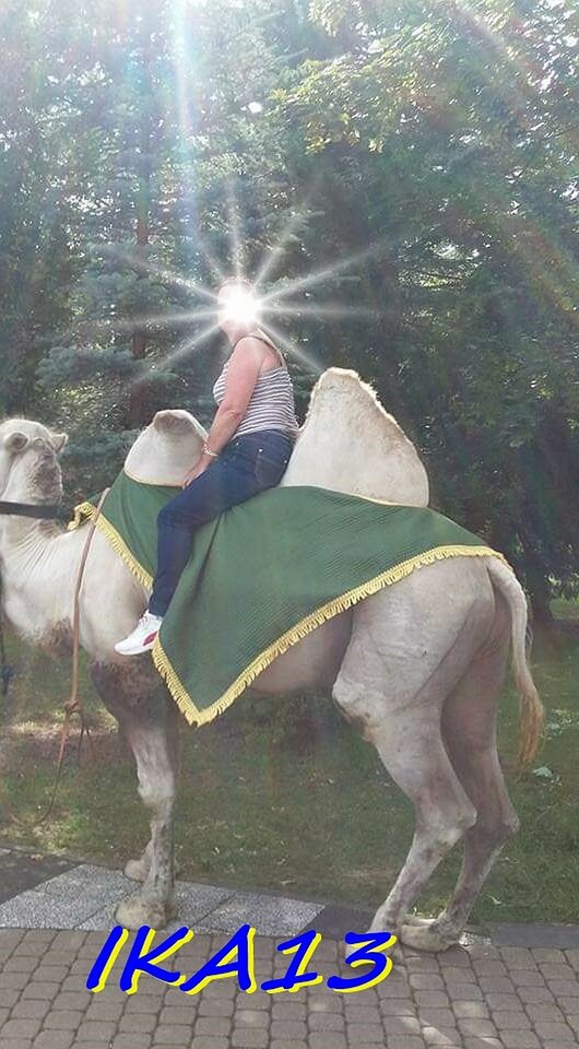 FB_IMG_1584873258085a.jpg - ika13