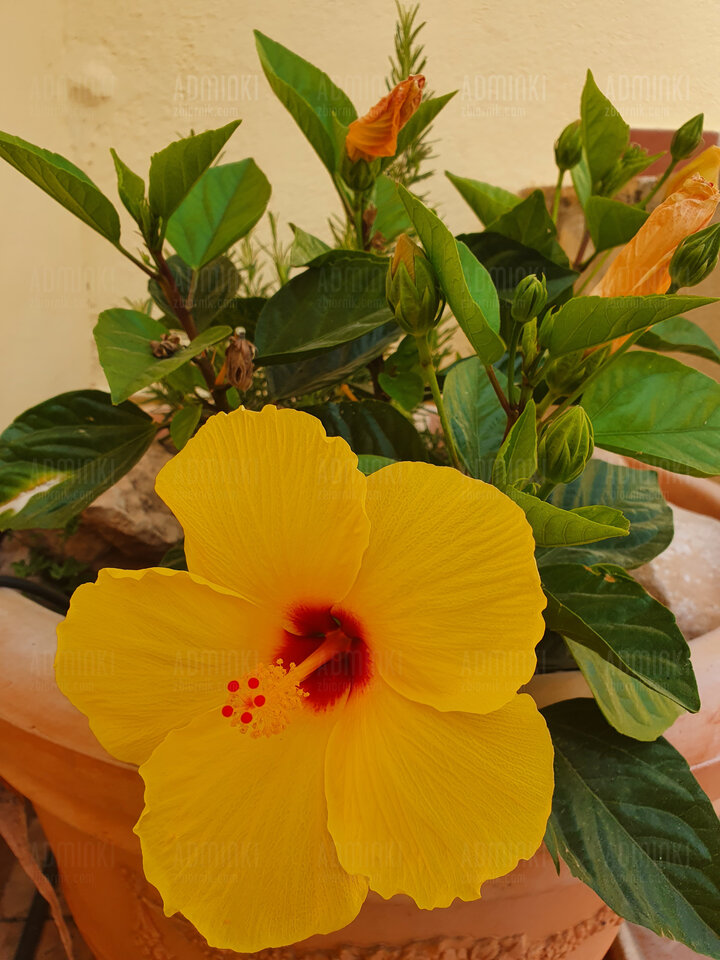 20220616_180837.jpg - Adminki