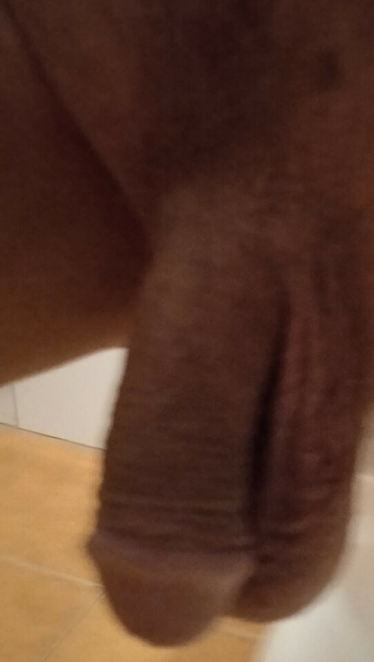 IMG_20220910_080236~2.jpg - 19Grzegorz55