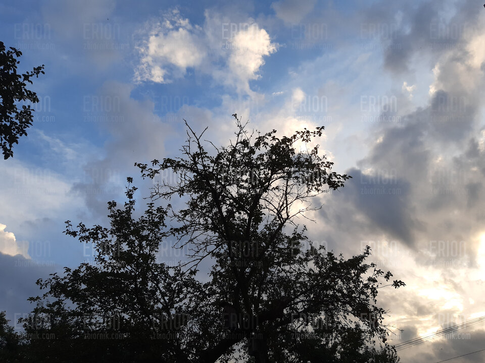 16628276465795288388061036925777.jpg - Erion