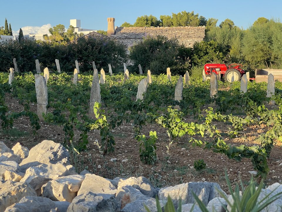 CE89BA21-FCE9-4AE3-9256-F1DD5D3D3F54.jpeg - hotpussy1980