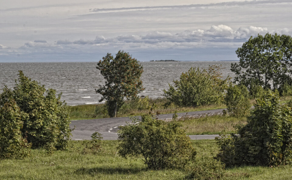 _DSC0275.JPG - mazi39