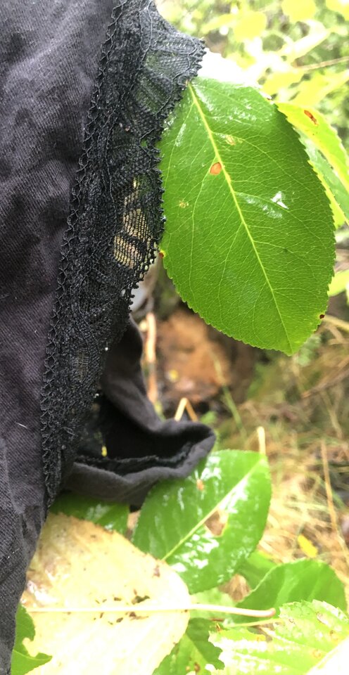 F133C155-E7D8-45BF-BAC5-0D74071F9C36.jpeg - DonKichot82