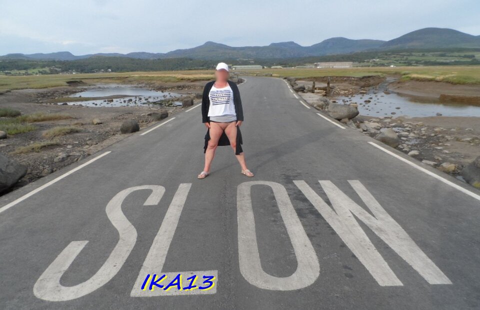 20180726_181529a.jpg - ika13