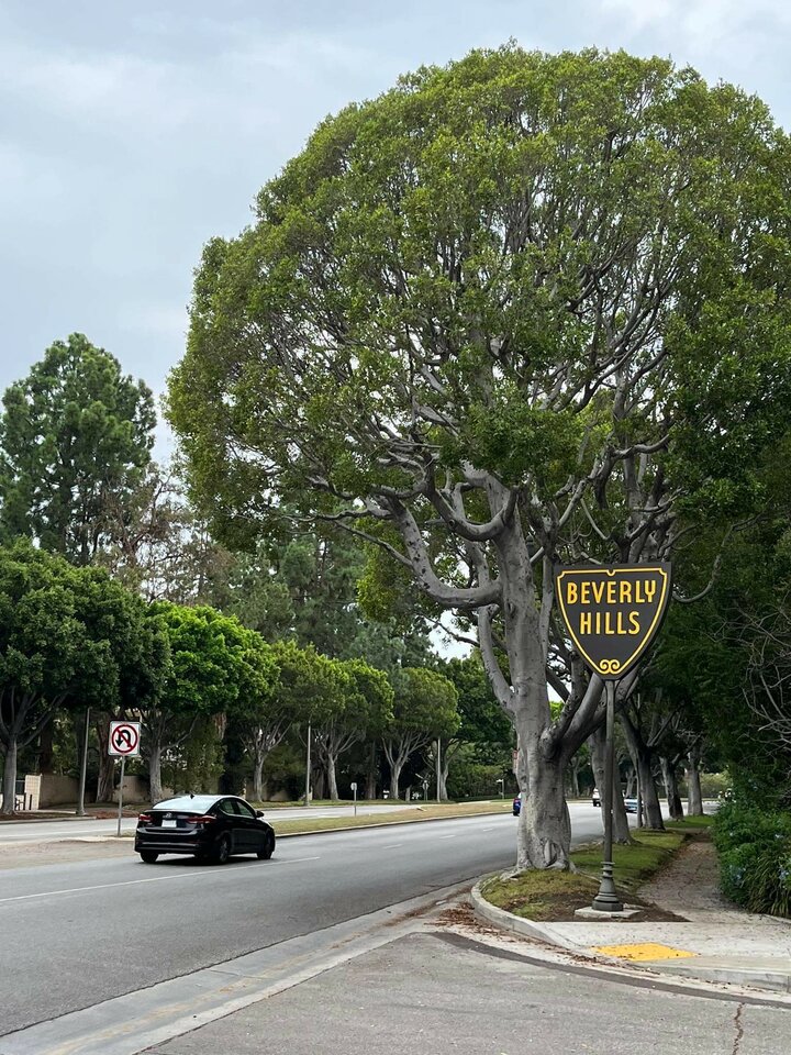 Czas zacząć wakacje😜 - Fallen_romantic