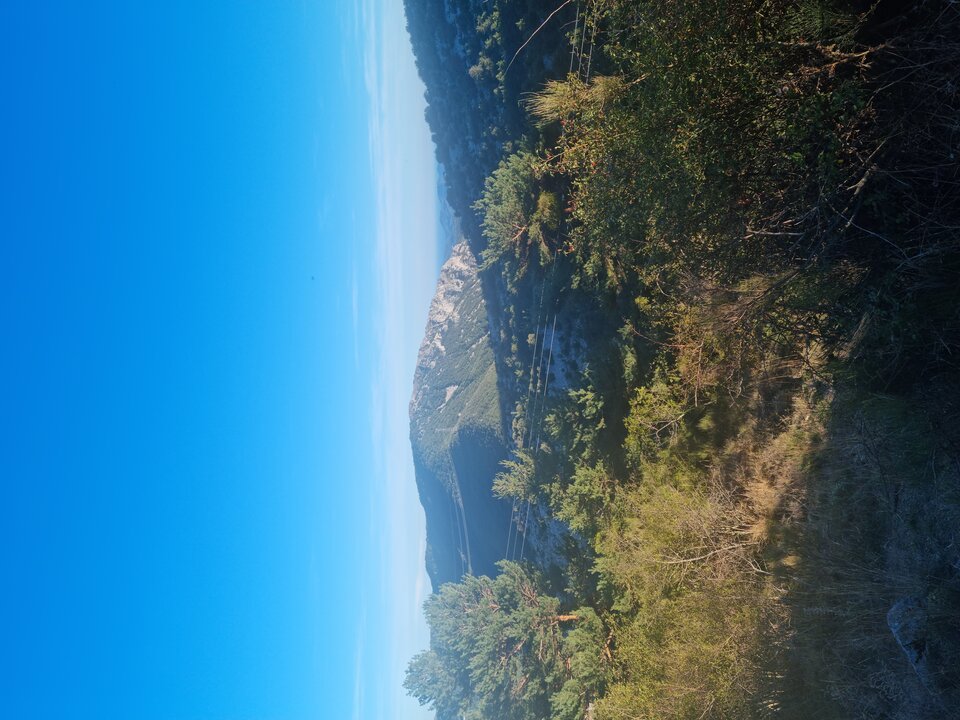 20220909_185502.jpg - Slascher