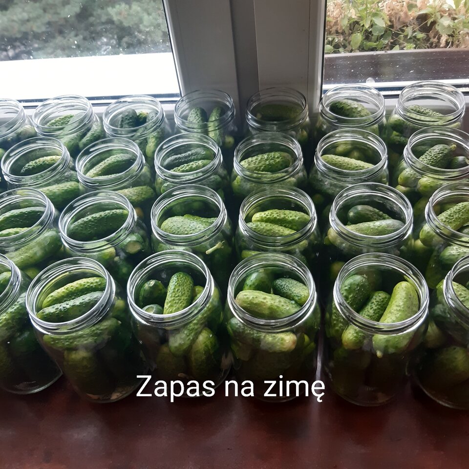 Witaminy - Nikt_taki