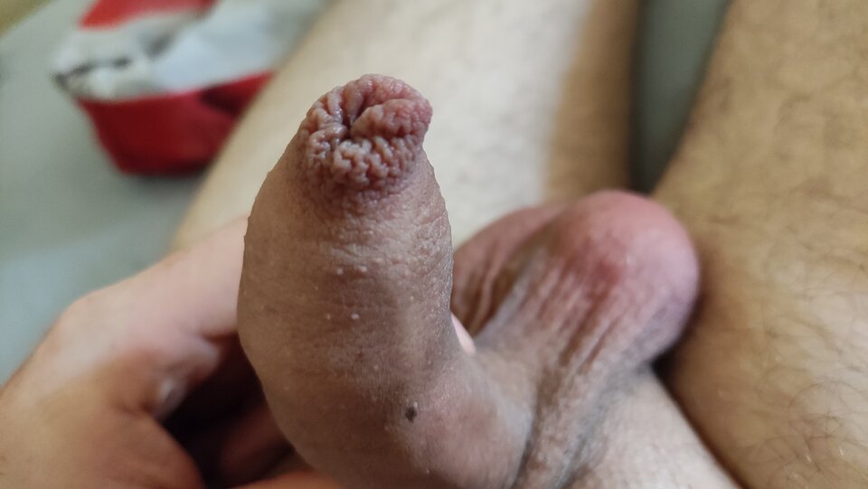 IMG_20220912_073642.jpg - Kriss7788