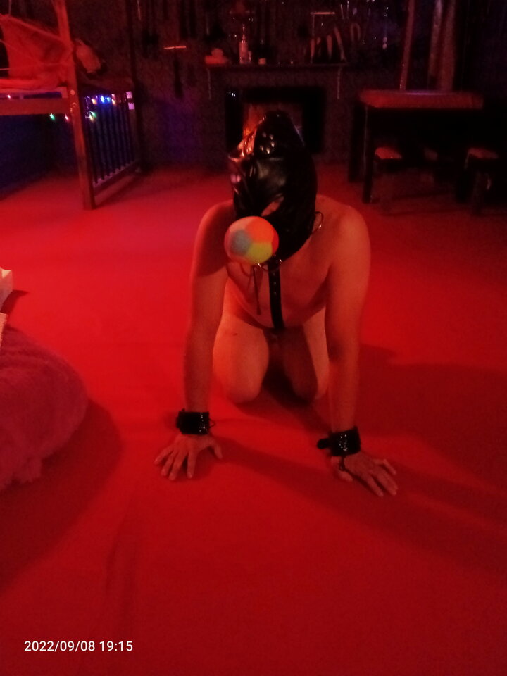 IMG20220908191530.jpg - BDSMstudioOpole
