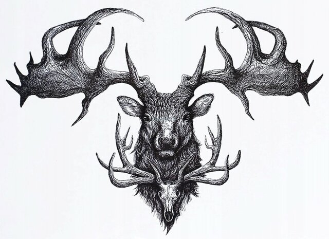 81927595-6D48-4612-9C02-F3E1D33E86DD.jpeg - Ulegla4m1k