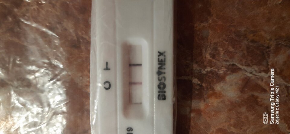 16630096719168794064837722568628.jpg - Palciusia