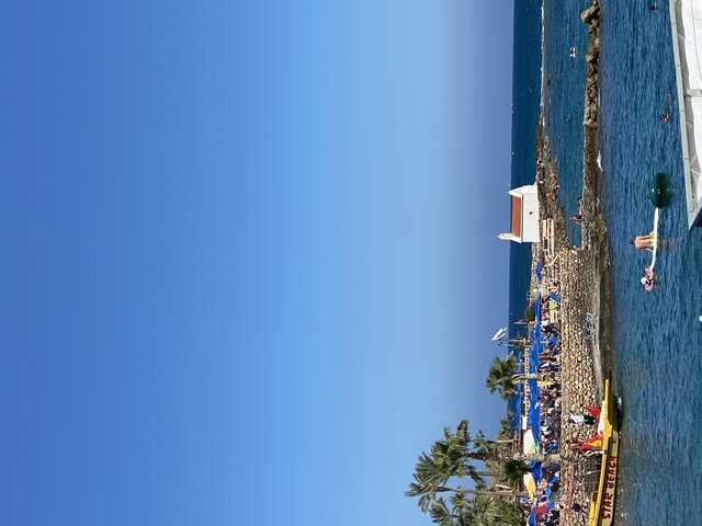 andonis