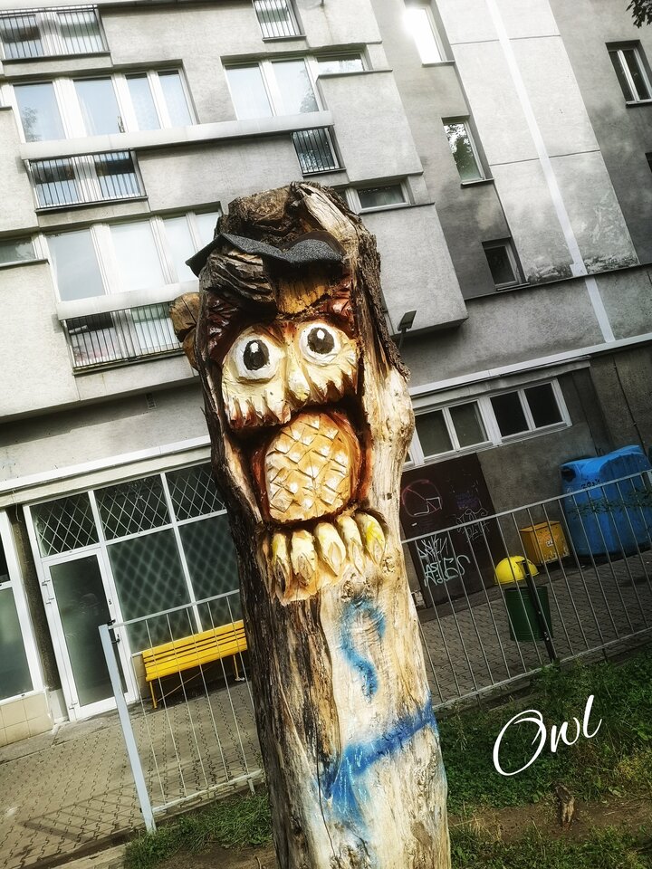 Sw0220912_225225733.jpg - OwlsSoul